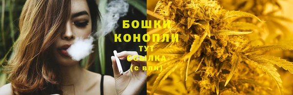 дживик Михайловск